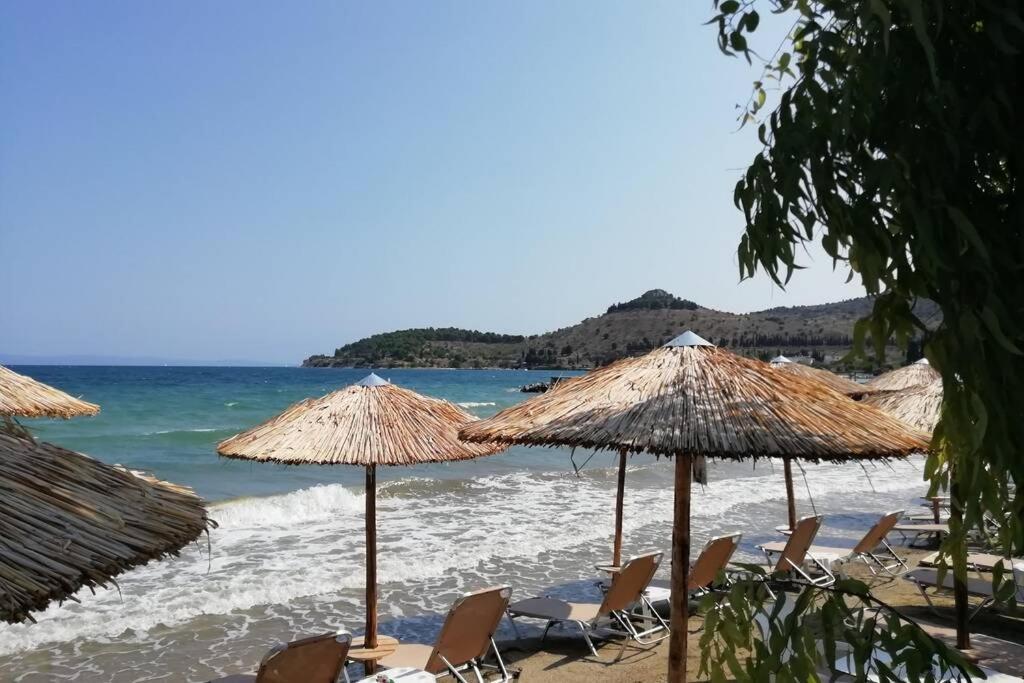 Dimitrios Loft * Volos